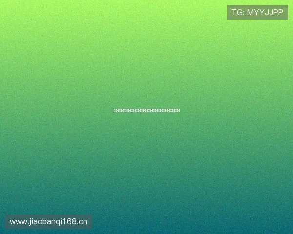 广州索速集团引领智能物流创新发展与行业转型升级探索之路